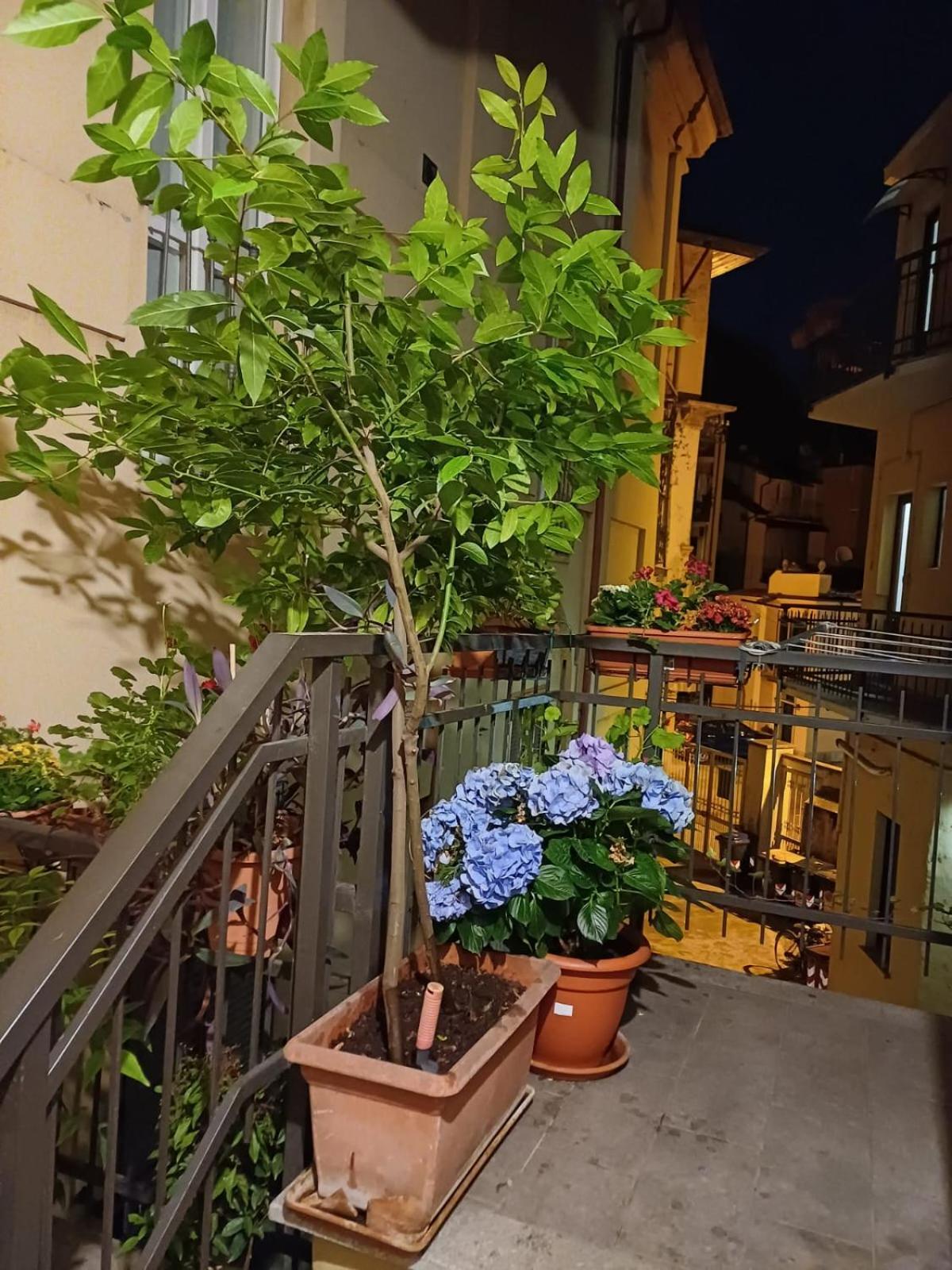 La Terrazzina, Silenzioso, Zona Piazza Gran Madre Turín